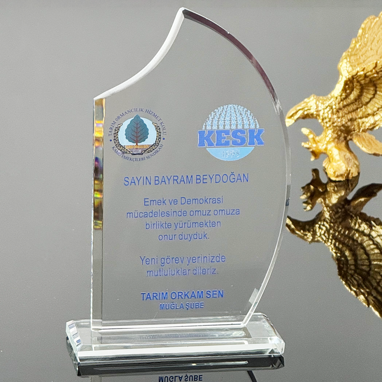 P213 Kristal Cam Plaket