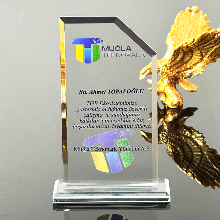 P105 Kristal Cam Plaket